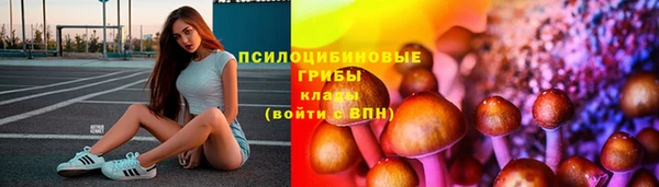 не бодяженный Каменка