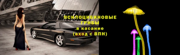 первитин Каменногорск