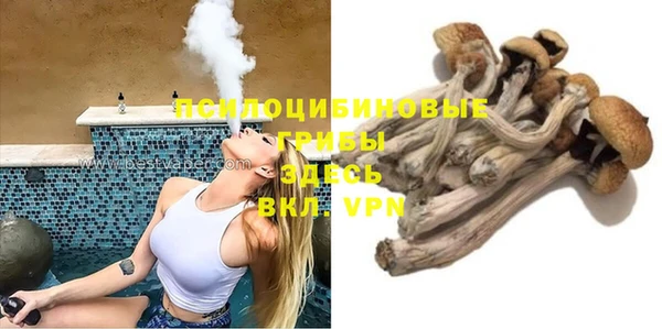 не бодяженный Каменка