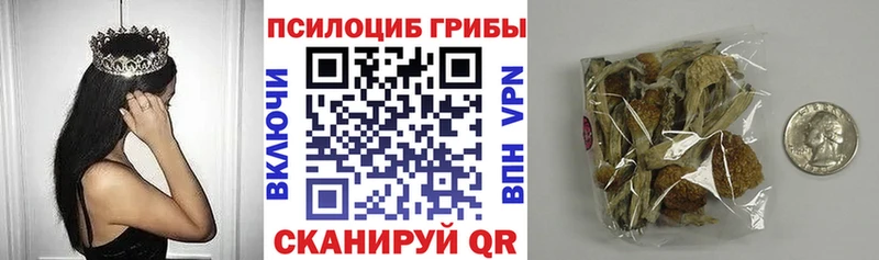 Купить где  Чадан  Галлюциногенные грибы MAGIC MUSHROOMS 